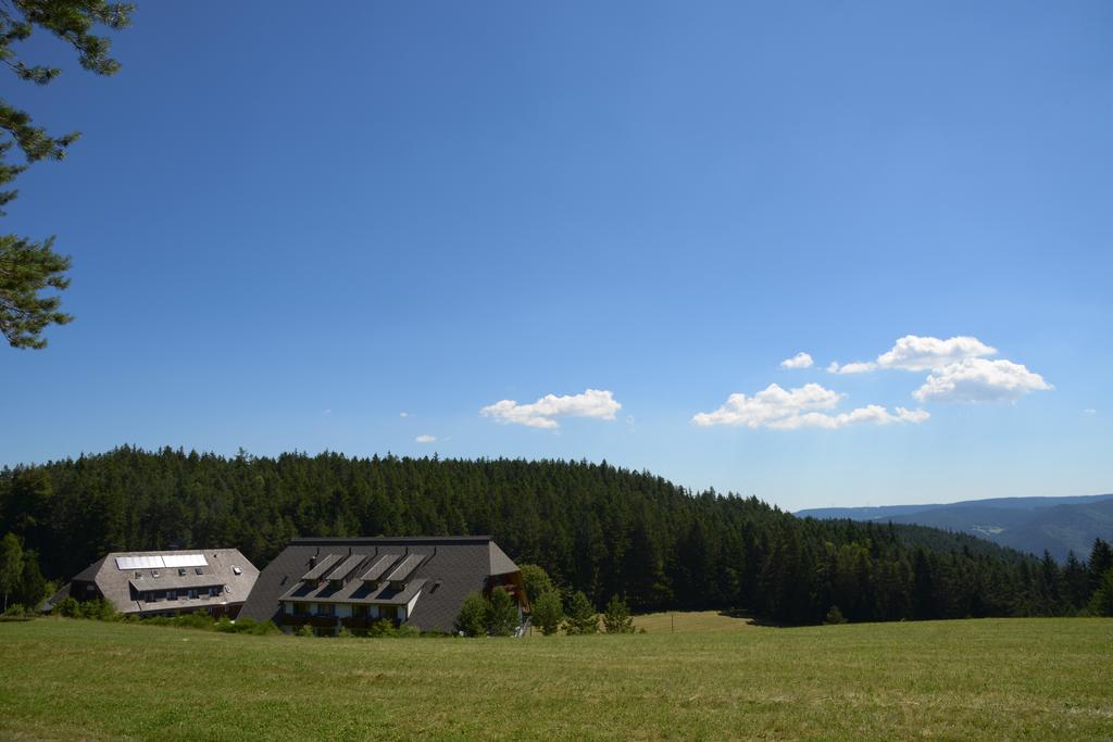 Hotel Schoene Aussicht Хорнберг Экстерьер фото